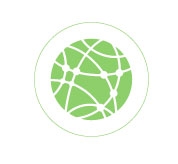 Globalization Cluster icon