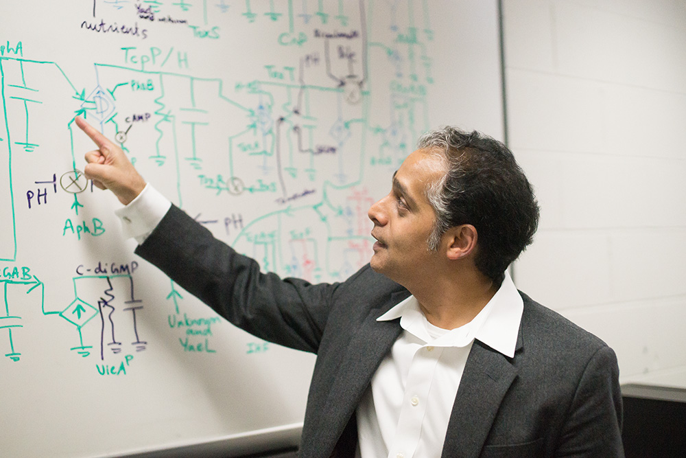 Professor pointing at white board